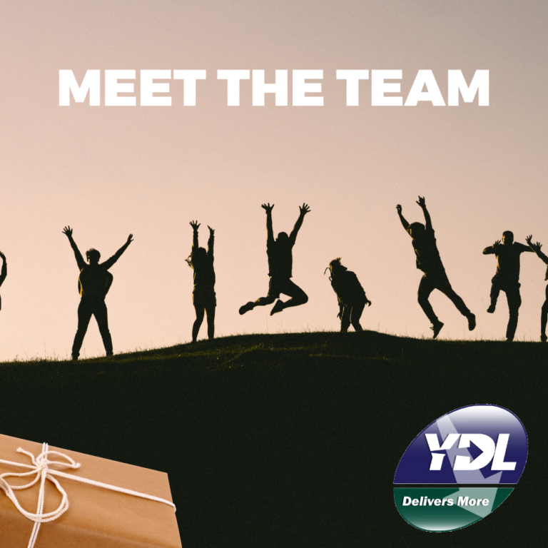 Introducing The YDL Team: Part 1